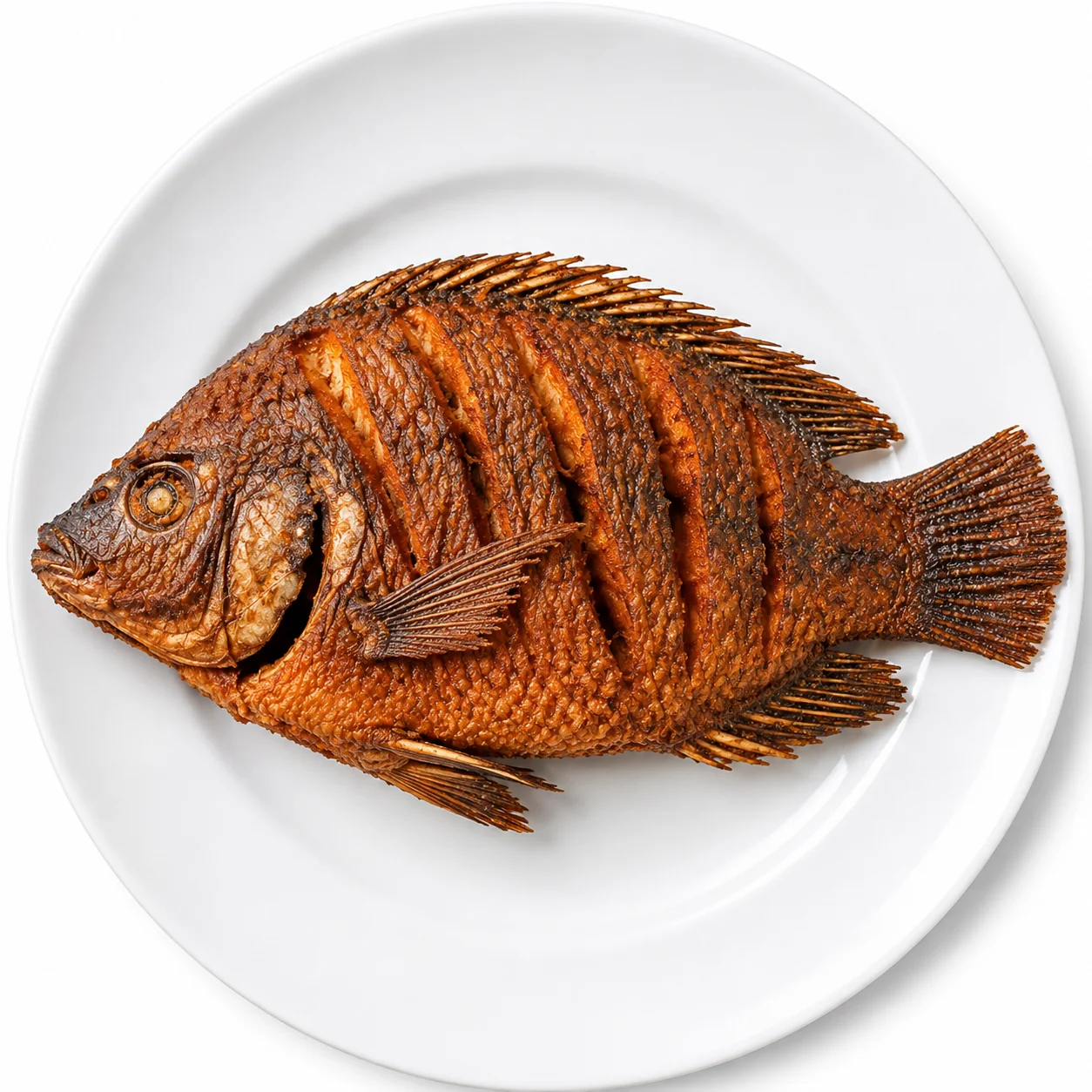 Peppered Catfish